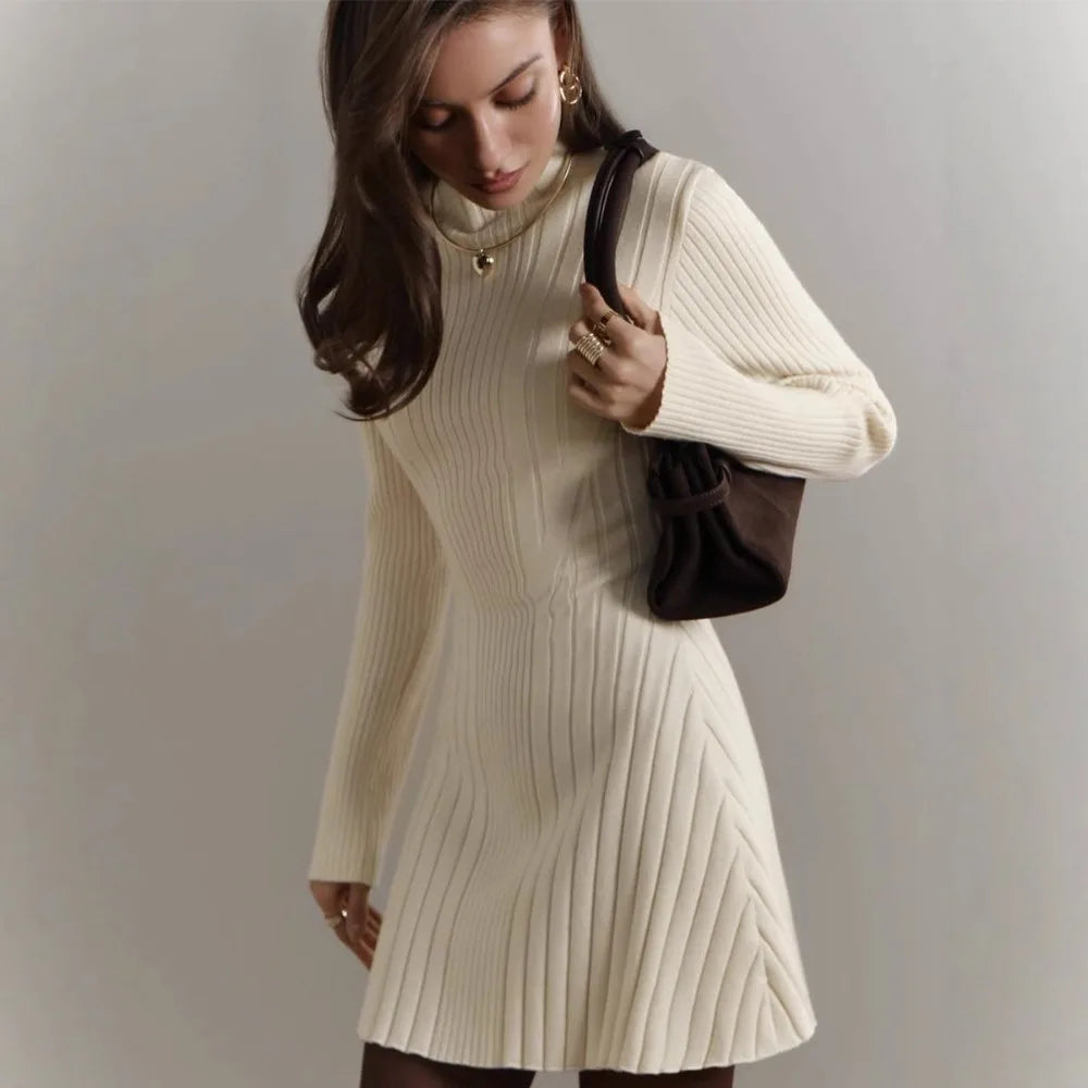 Mock Neck Long-Sleeve Knit A-Line Mini Dress